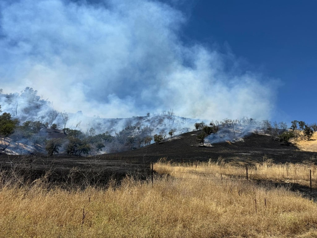 The Berry Fire north of Lake Berryessa was first reported on Friday at 10:50 a.m. and burned 68 acres. Forward progress was stopped in the early afternoon and Cal Fire officials said the fire was 50% contained by 3:30 p.m. Cal Fire LNU Facebook Photo