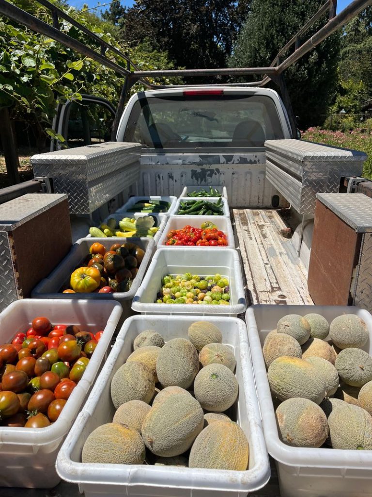 The garden at Trefethen Family Vineyards provides food for seasonal tasting experiences as well as this haul of fresh produce for the winery staff. Cynthia Kerson photo
