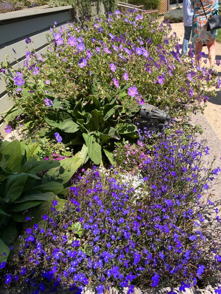 Flowers in the garden at Napa's Trefethen Family Vineyards. Cynthia Kerson photo