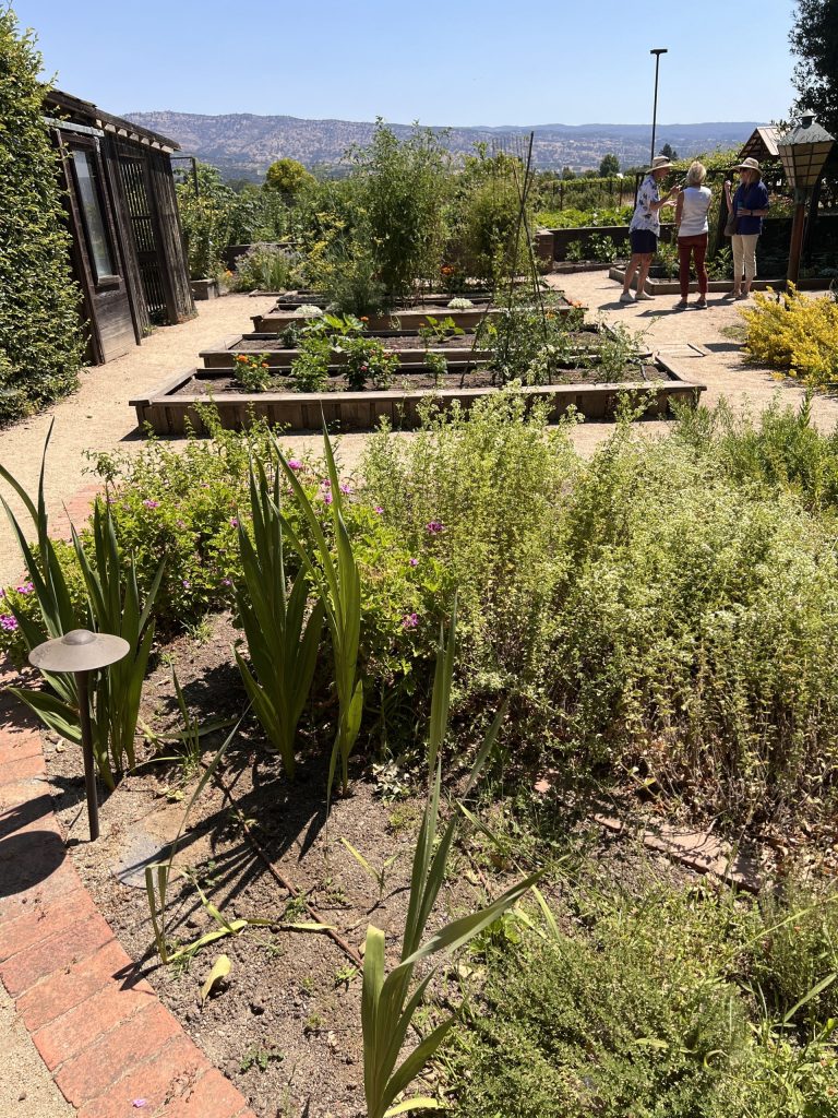 The chef's herb garden at Napa's Trefethen Family Vineyards. Cynthia Kerson photo