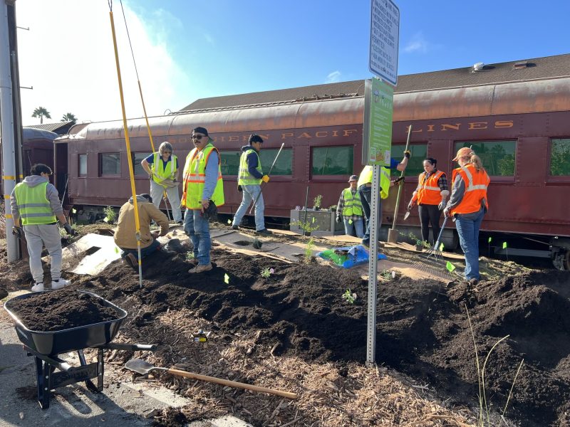 Dozens of volunteers from organizations including the Napa Valley Vine Trail Coalition, Calistoga Rotary Club, Pacific Union College and Calistoga Garden Club joined forces on Oct. 16 to plant a pollinator-friendly garden at the downtown Calistoga Vine Trail entrance. Joanie Hahn photo