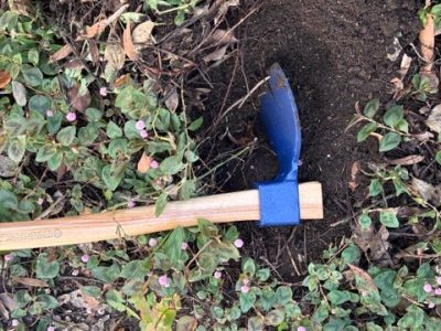 The author's "romantic" gardening gift, a forest adze. Cindy Watter photo