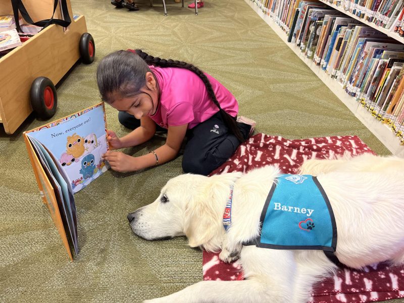 Gurnoor Athwal, 8, reads “Bird Bath” to Barney at the American Canyon Library. File photo by Griffin Jones