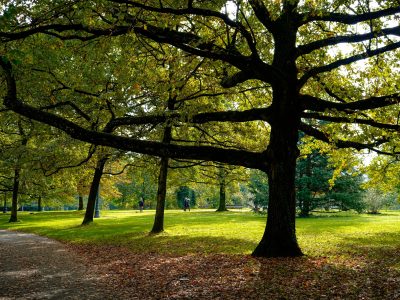 Meizhi Lang on Unsplash photo